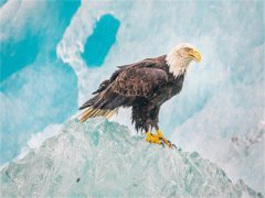 小说完整版重生回来，妻子还在周正贤大结局-周正贤是什么书《重生回来，妻