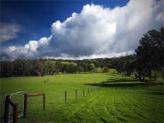 英魂永驻小说_(周萱萱江鞘)最新章节免费阅读