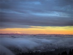 独家整理小说(苏羽青楚幻章)阅读-苏羽青楚幻章最新阅读今日更新