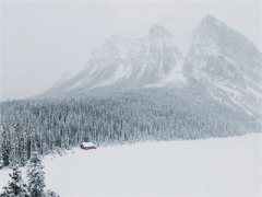 正版小说陆雪晴季随渊全文-陆雪晴季随渊小说完整版阅读