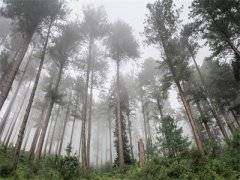 小说排行榜top1小说秦雨欢厉砚卿全文阅读-秦雨欢厉砚卿已完结全集大结局小说