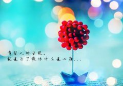 高冷教官的明星小娇妻(宁雪晴姜勋)全文免费阅读无弹窗大结局_ (高冷教官的明