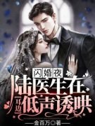 《闪婚夜，陆医生在耳边低声诱哄》完整版-林知意陆景初在线全文阅读